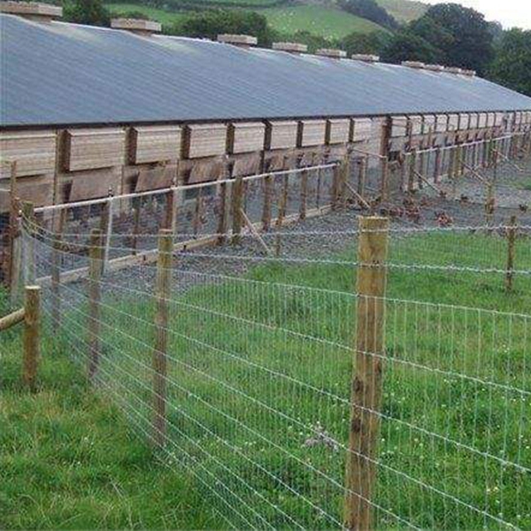 Wide application of cattle fence