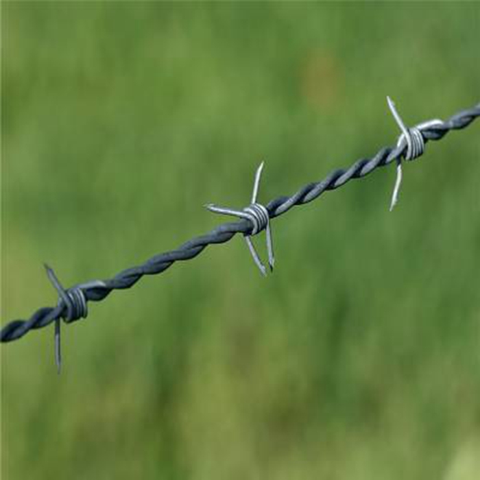 ODM Barbed Wire FencingODM Barbed Wire Fencing