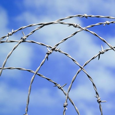 barbed wire (20)