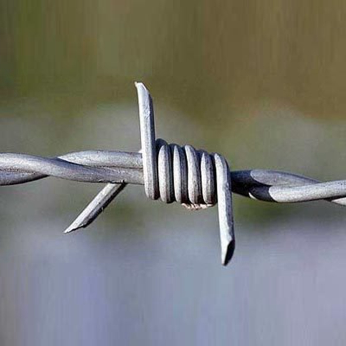 Wholesale Galvanized Barbed Wire Price Per Roll Barbed Wire Fence Design