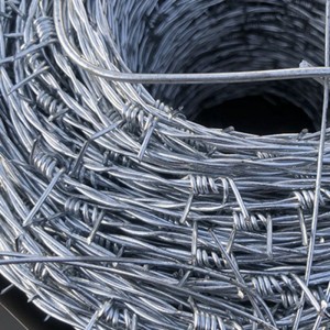 Professional Supplier Barbed Wire Roll Barbed Wire Fence