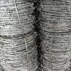ODM Supplier Galvanized Barbed Wire For Forest Protection
