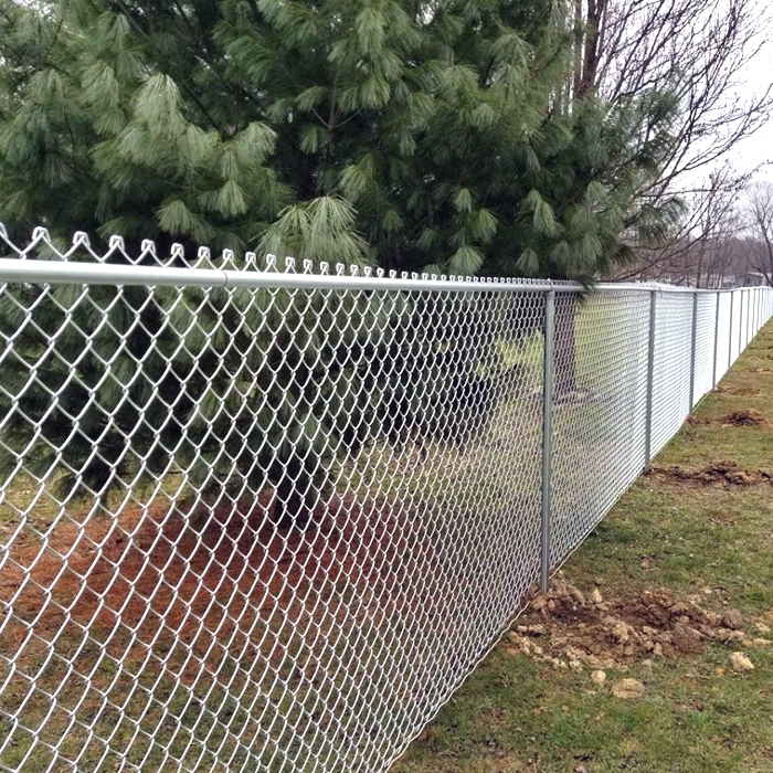 Wholesale Price Galvanized Steel Chain Link Fence for Playground