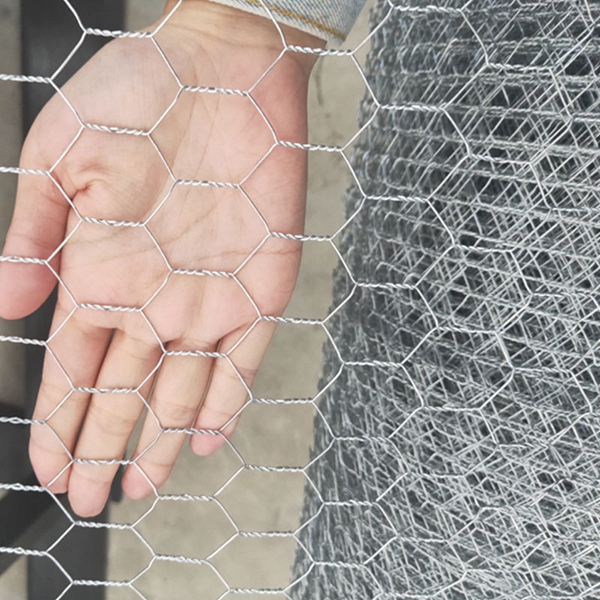 Galvanized steel diamond wire mesh chicken wire fence
