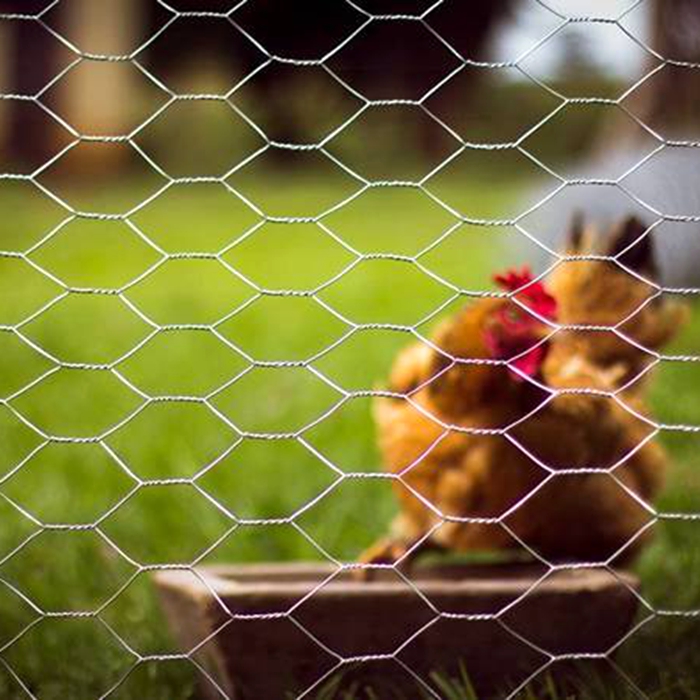 Chicken Fence Product Introduction