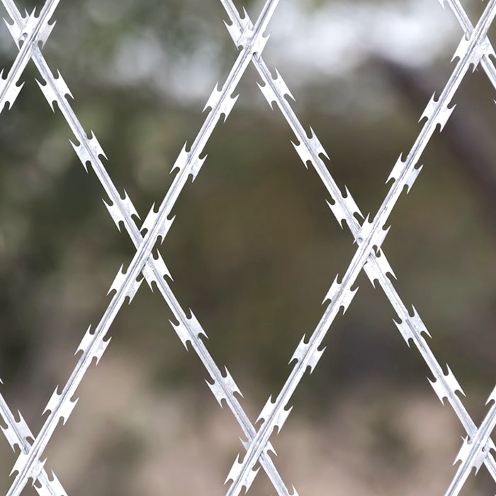 Anti-Climb Flat Razor Wire Stainless Steel Concertina Wire Border Wall