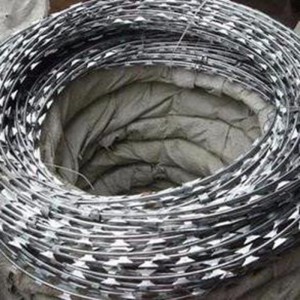 China High Safety Real Factory Concertina Wire Razor Wire