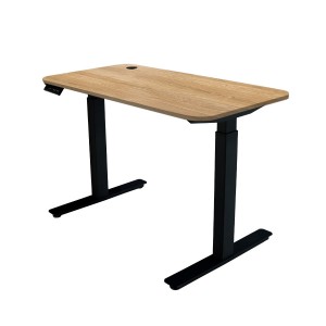 Height Adjustable Electric Standing Desk&Table With USB function