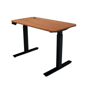 Height Adjustable Electric Standing Desk&Table With USB function