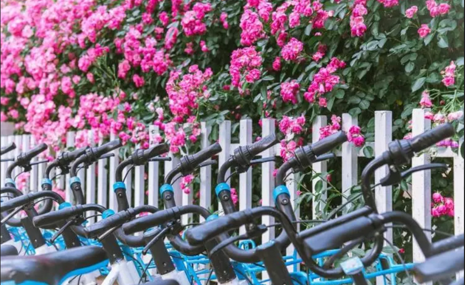 Park the sharing e-bikes orderly makes the life better
