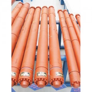 China Cheap Price Gerotor Oil Pump - Electric Submersible Progressive Cavity Pump – VS