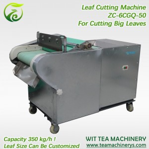 Cheap PriceList for Tea Shredding Machine - 50cm Cutting Width Leaf Cutting And Chopping Machine ZC-6GCQ-50 – Wit Tea Machinery
