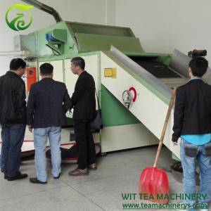 Diesel Oil Heating Continuous Belt Type Tea Leaves Dryer ZC-6CHL-CY24