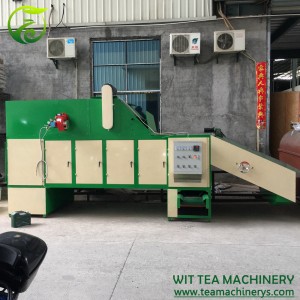 Diesel Oil Heating Continuous Belt Type Tea Leaves Dryer ZC-6CHL-CY24