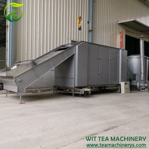 Wood/Coal Heating Chain Plate Green Tea Drying Sterilizer Machine ZC-6CHL-CM30