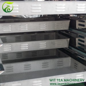 150 kg Capacity Black Tea Ferment Machinery ZC-6CFJ-60