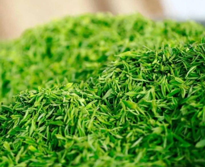 Good Or Bad Of Green Tea, Depend On This Process!