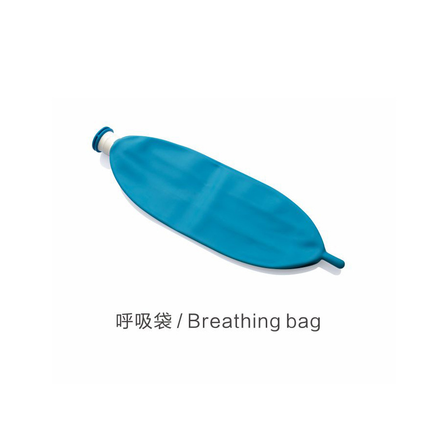 China Disposable Breathing Bag manufacturers and suppliers | Reborn
