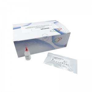 FOB Diagnostic One Step Hbsag Hepatitis B Rapid Test Kit Cassette Strip