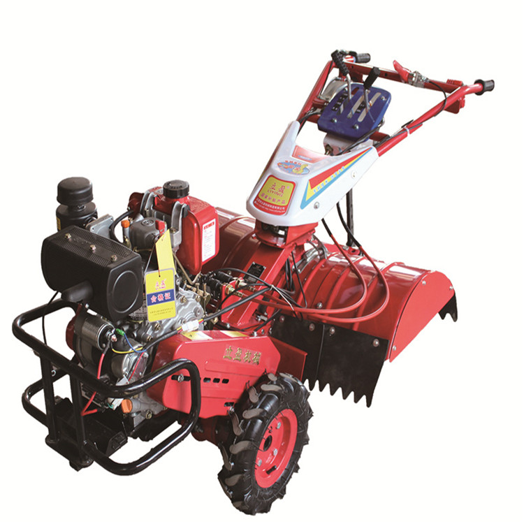 OEM Wholesale One Prong Cultivator Factories - HOT sale 173 F belt diesel engine garden cultivator machine cultivator – Techsurf detail pictures