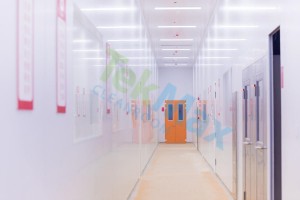 China wholesale Clean Room Color Steel Panel - Chain clean room door – TekMax