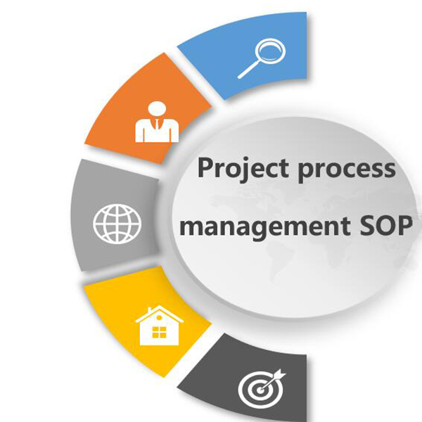Process project management system
