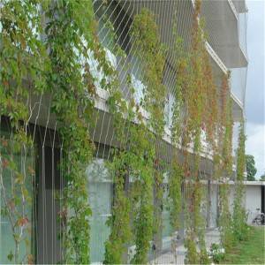 China Cheap price Growing Trellis Fence - Stainless steel green wall mesh – Gepair