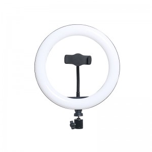 Cheap price Ring Light Photography - R10-F-260 Ring Fill Light 10inch 10” Selfie Ring Light – TEYELEEC