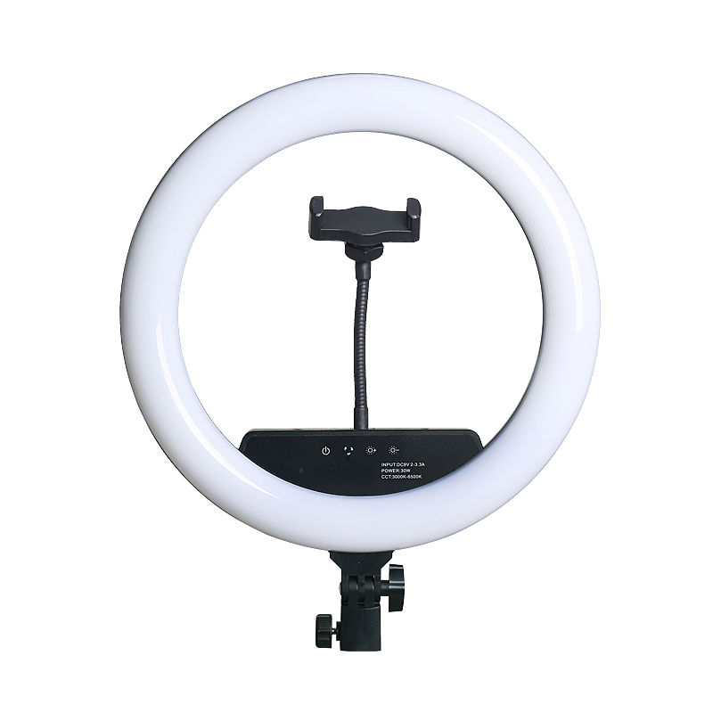 Factory Cheap Hot Ring Light Camera Mount - R14S-F-360S Fill Light 14″ inch Selfie Ring Light – TEYELEEC