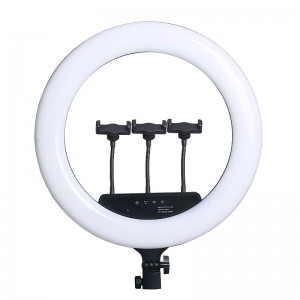 Low price for Ring Light With Stand - R18-F-450 Ring Fill Light 18″ Inch Selfie Ring Light – TEYELEEC