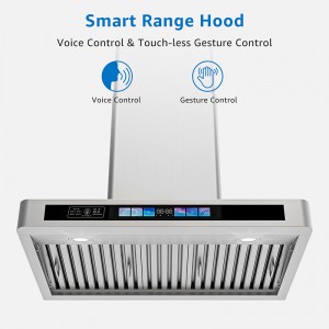 Voice Control Smart Kitchen Hood Stainless Steel T Style Exhaust Hood