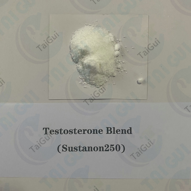 Wholesale China Testosterone Propionate Steroid Companies Factory - Injectable Testosterone Steroids Test Sustanon 250 Testosterone Blend  – Taigui