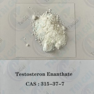 Wholesale China Testo Enanthate Manufacturers Suppliers - Fat Burning Testosterone Enanthate CAS 315-37-7 Testosterone steroid for Weight Loss – Taigui