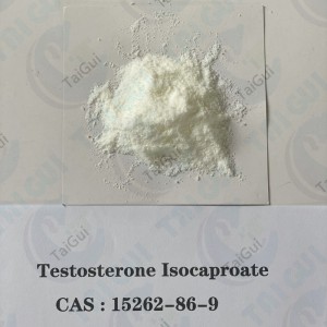 Wholesale China Testosterone Cypionate Cutting Cycle Companies Factory - White Testosterone Steroids Testosterone Isocaproate Increasing Strength And Gain Muscle – Taigui