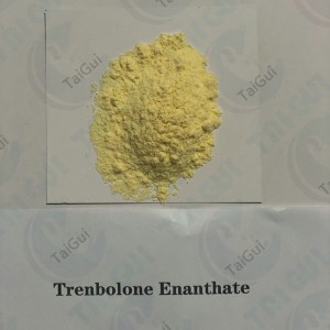Injectable Trenbolone Enanthate / Tren E anabolic steroid for muscle building