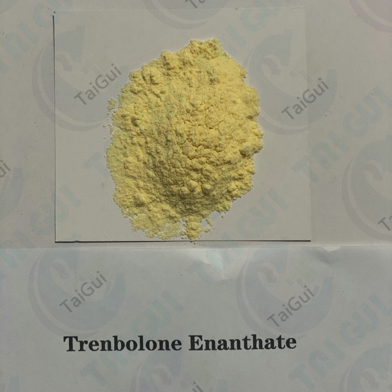 Injectable Trenbolone Enanthate / Tren E anabolic steroid for muscle building Featured Image
