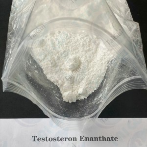 Fat Burning Testosterone Enanthate CAS 315-37-7 Testosterone steroid for Weight Loss