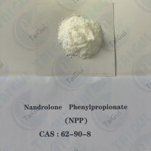 DECA Anabolic Steroid Powder Nandrolone Decanoate Durabolin CAS 360-70-3 