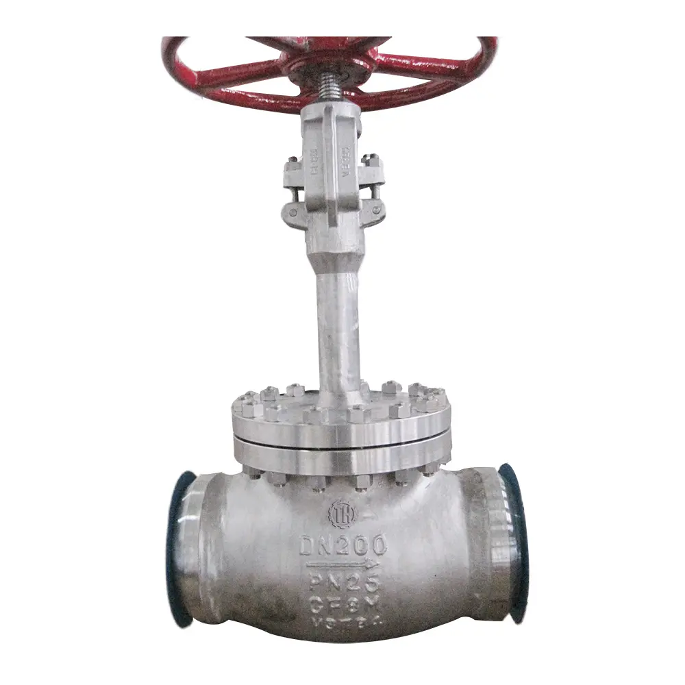 The Rise of Cryogenic Globe Valves in Industrial Applications