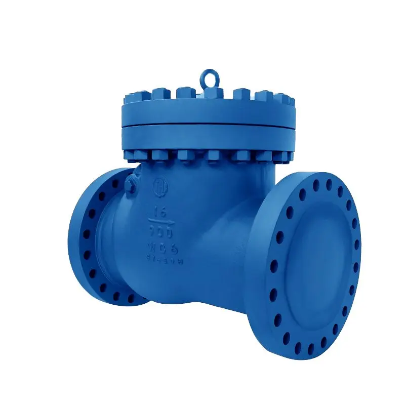 Improving Fluid System Efficiency: Advantages of Swing Check Valves