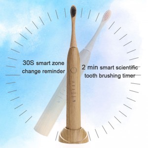 Eco Friendly Manufacturer Supply Wireless Charging OEM Biodegradable Electric Toothbrush
