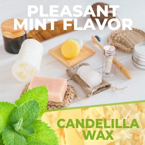Biodegradable Mint Flavor Candelilla Wax Dental Floss With Glass Bottle