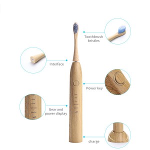 Manufacturer Supply Wireless Charging OEM Biodegradable Head Electric Bamboo Toothbrush