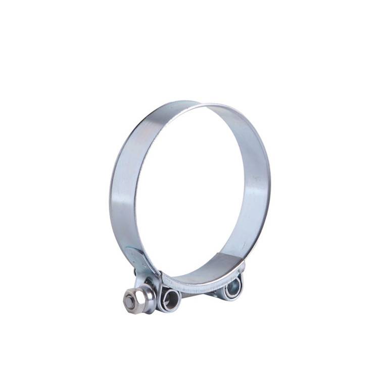 Reasonable price for Stainless Steel Band Pipe Clamp - Hollow Heavy Duty Hose Clamp – TheOne