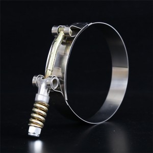 19mm Bandwidth Heavy Duty Zinc Plated T Spring Loaded Pipe Clamp