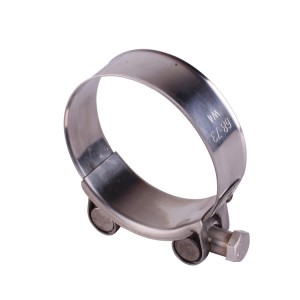 OEM/ODM Manufacturer Stainless Steel T Bolt Clamp – Robust Pipe Clamp – TheOne