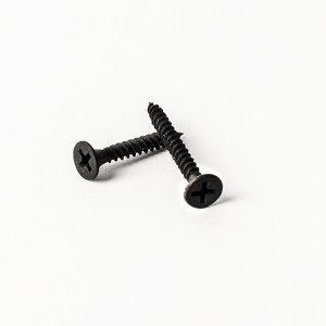 Xylan Coated Stainless Flat Head Phillips Wood Screw