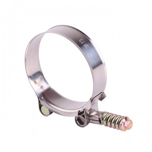 19mm Bandwidth Heavy Duty Zinc Plated  T Spring Loaded Pipe Clamp