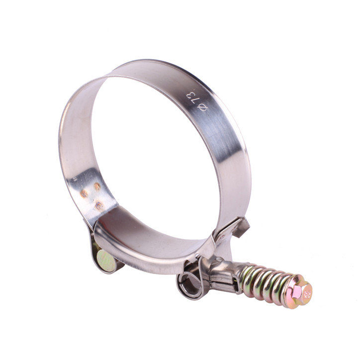 19mm Bandwidth Heavy Duty Zinc Plated  T Spring Loaded Pipe Clamp Featured Image