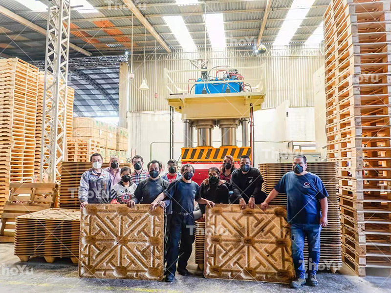 ThoYu Gains Trust of Bulgarian Client and Sells Compressed Pallet Production Line Successfully